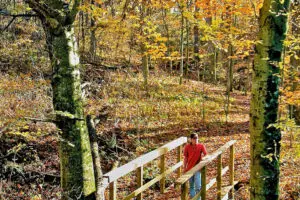 B-BSNature Trail