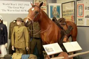 DuBois County Museum_WWI Image of a soldier uniform and a horse at the DuBois Count Museum.