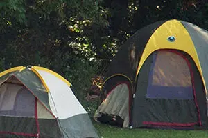Indiana Caverns - Bat Chaser Tent Camping at Harrison County Parks