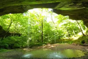 Hoosier National Forest 2