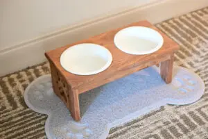 Spring Mill Inn dog water bowl