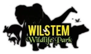 Wilstem logo