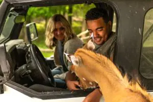 Animal encounter at Wilstem Ranch and Safari.