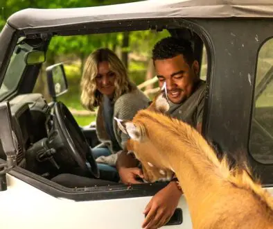Animal encounter at Wilstem Ranch and Safari.