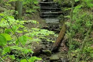 Hemlock Cliff falls 3