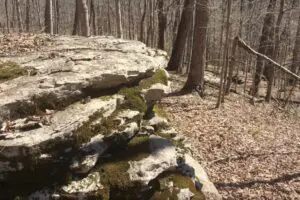 O'Bannon State Park 2