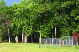Baseball field at Sycamore Springs Park