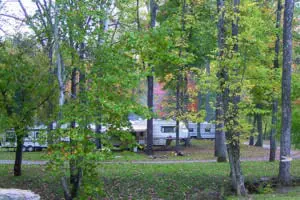 Camper area at Sycamore Springs Park