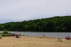 Tipsaw Lake Beach