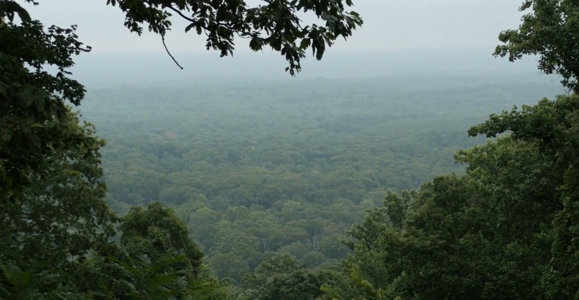 Harrison-Crawford State Park view