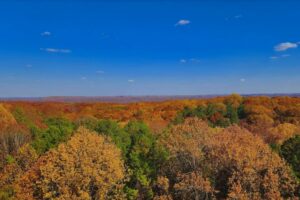 Hoosier National Forest