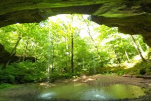 Hoosier National Forest 2