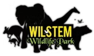 Wilstem logo