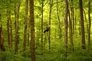 Wilstem zip line