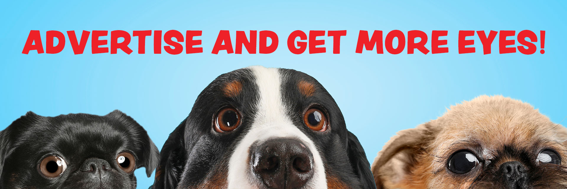 3 Cute dogs peering up over the edge of the photo. Advertise Header