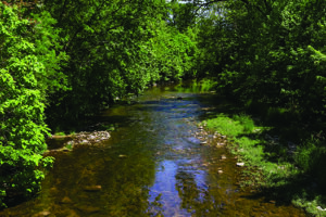 CCC-River