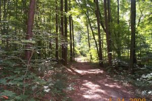 German Ridge Trail_0