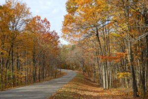 Winding road linked with fall colored trees
