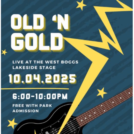 Old and gold wboggs