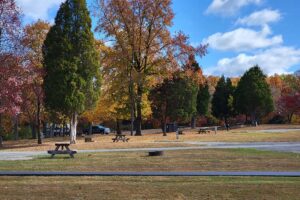 Patoka Lake Campground 1