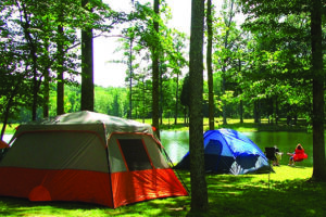 Camping at Sycamore Springs Park