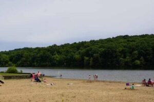 Tipsaw Lake Beach