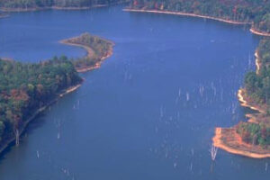 patoka-banner